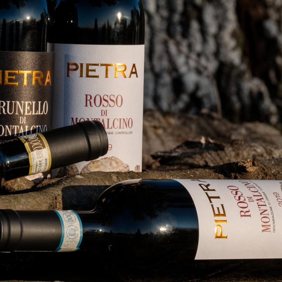 shop PIETRA  VINO: ROSSO DI MONTALCINO 2019. Dal punto di vista climatico la variabilità del meteo si è fatta sentire, in particolare a maggio, con un abbassamento delle temperature accompagnato da abbondanti precipitazioni, che hanno determinato un rallentamento del ciclo vegetativo della vite, tanto da far posticipare di qualche giorno la vendemmia. Un’estate non eccessivamente calda, capace di garantire escursioni termiche importanti, ha portato in cantina uve sane, equilibrate e perfettamente mature. Sempre un vino di terroir, il Rosso di Montalcino Pietra offre la sapidità e la tessitura fine di grandi terreni con una bevibilità che lo rende un vino vivace e versatile. Armonioso, con note di ciliegia e lampone, frutta matura e acidità delicata.
<a target="_blank" href="https://pietramontalcino(dot)it/shop/resources/st_rosso2019(dot)pdf" style="color: #6a1f46;font-weight: bold;font-size: large;">Scheda tecnica</a>
 number 13